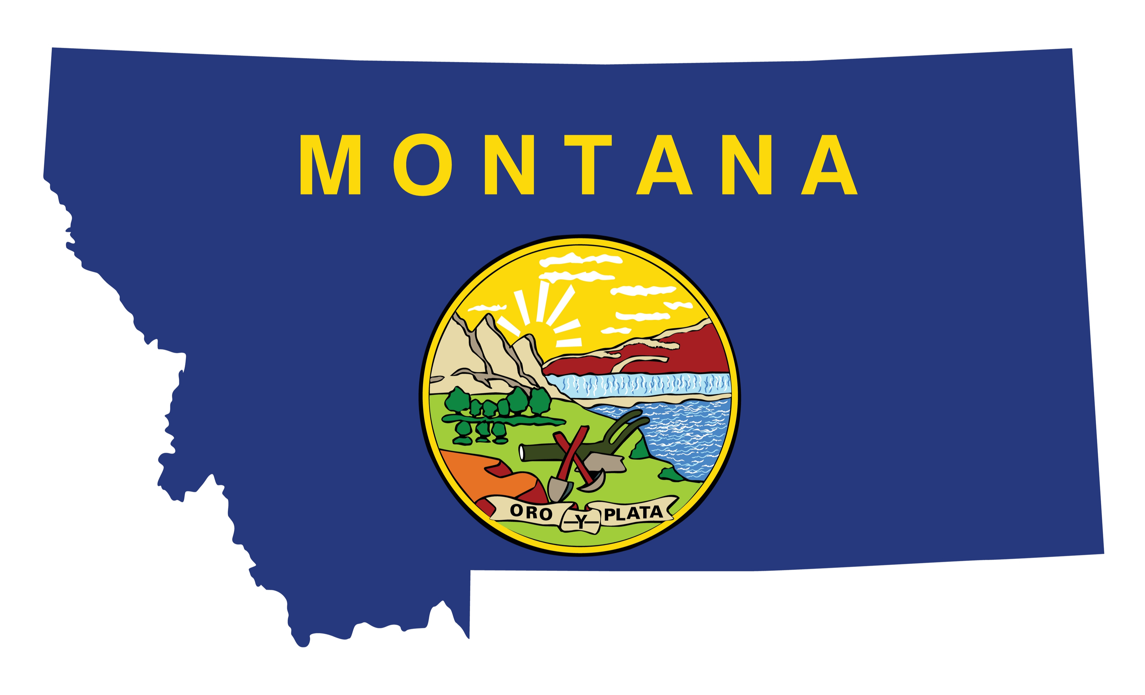 Montana Interior Design Regulation